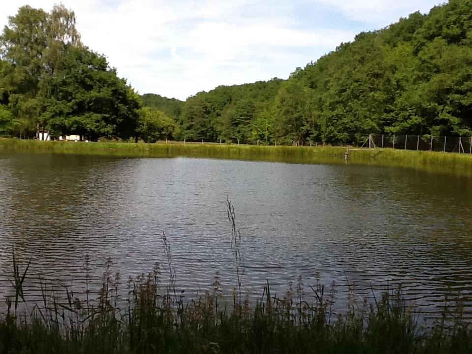 Chalet De Luve Vireux-Wallerand المظهر الخارجي الصورة